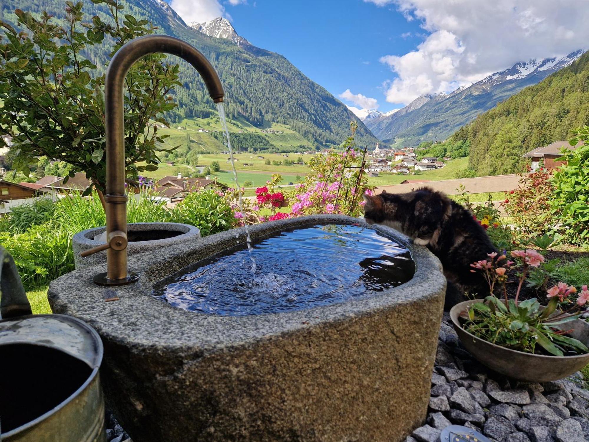 Klein&Fein Διαμέρισμα Neustift im Stubaital Εξωτερικό φωτογραφία